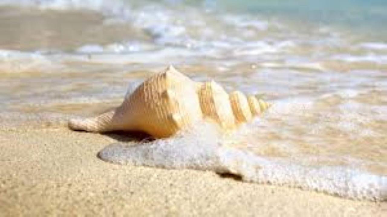 Stella Di Mare - Ca Savio Apartman Cavallino-Treporti Kültér fotó